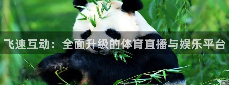 乐球足球直播：飞速互动：全面升级的体育直播与娱乐平台