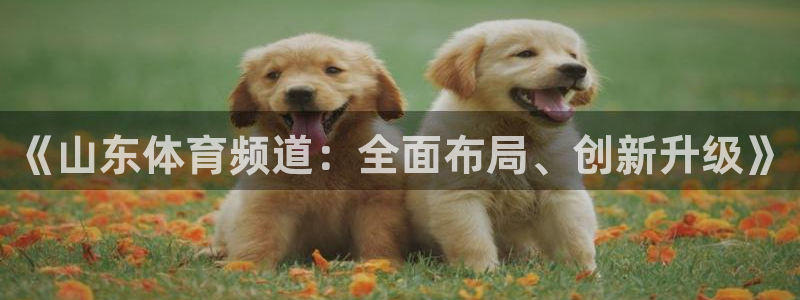 乐球直播网址乐球：《山东体育频道：全面布局、创新升级》