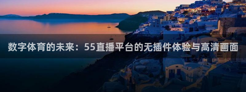 乐球吧在线直播观看：数字体育的未来：55直播平台的无插件体验与高清画面