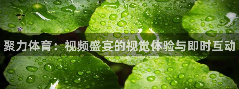 下载乐球直播：聚力体育：视频盛宴的视觉体验与即时互动