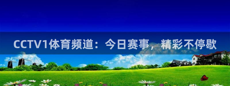 乐球体育直播在线观看：CCTV1体育频道：今日赛事，精彩不停歇