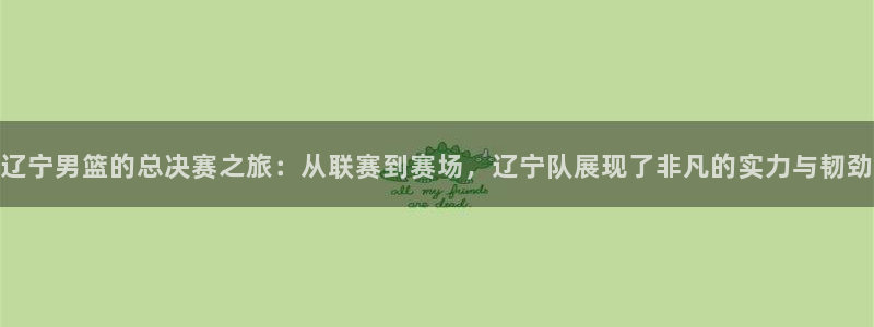 乐球直播免费直播：辽宁男篮的总决赛之旅：从联赛到赛场，辽宁队展现了非凡的实力与韧劲