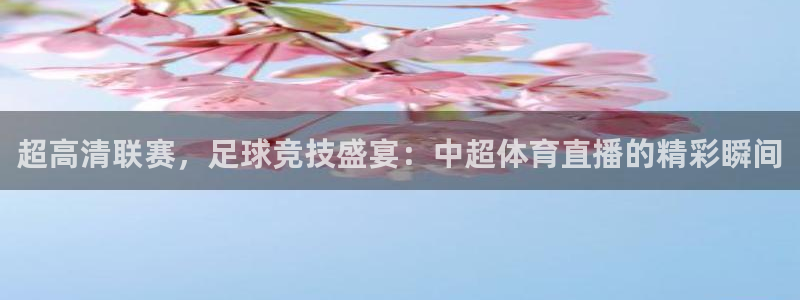 劲乐球球：超高清联赛，足球竞技盛宴：中超体育直播的精彩瞬间