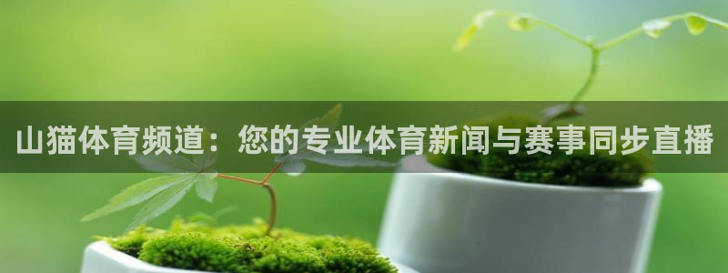 乐球直播免费观看高清版软件特色：山猫体育频道：您的专业体育新闻与赛事同步直播