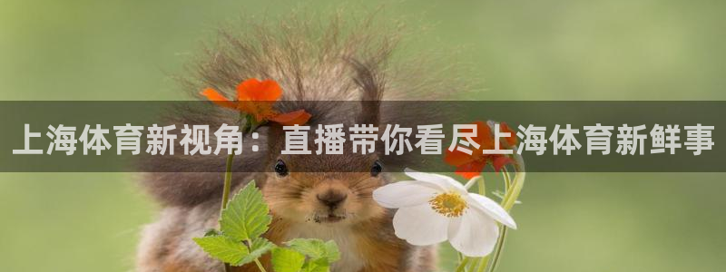 乐球直播在线观看免费：上海体育新视角：直播带你看尽上海体育新鲜事