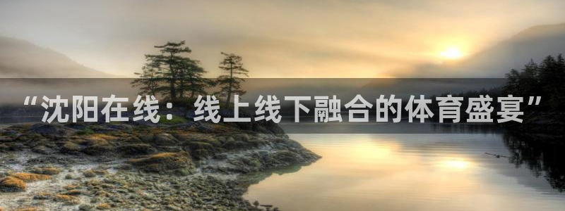 乐球直播乐球tv：“沈阳在线：线上线下融合的体育盛宴”