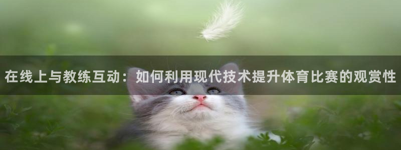 乐球直播免费高清观看：在线上与教练互动：如何利用现代技术提升体育比赛的观赏性