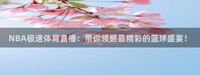 乐球足球比赛在线直播：NBA极速体育直播：带你领略最精彩的篮球盛宴！