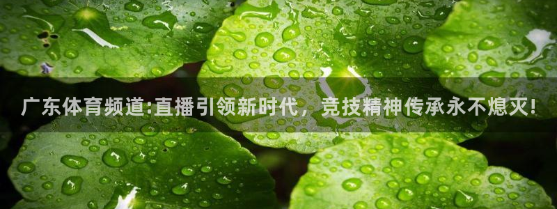 足球直播乐球体育：广东体育频道:直播引领新时代，竞技精神传承永不熄灭!