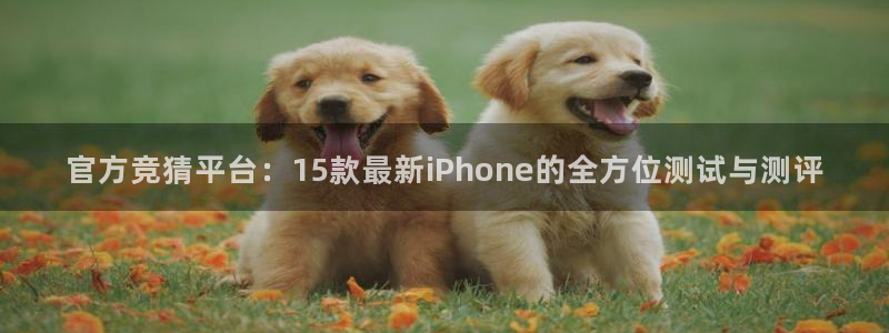 乐球免费直播：官方竞猜平台：15款最新iPhone的全方位测试与测评