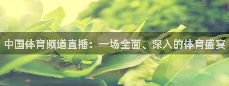 乐球直播nba高清直播：中国体育频道直播：一场全面、深入的体育盛宴
