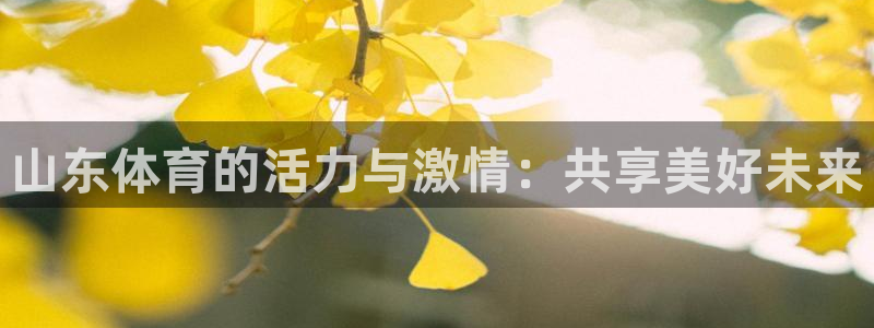 nba篮球比赛免费直播乐球：山东体育的活力与激情：共享美好未来