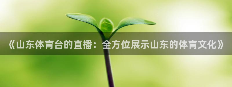 乐球直播免费观看nba直播：《山东体育台的直播：全方位展示山东的体育文化》