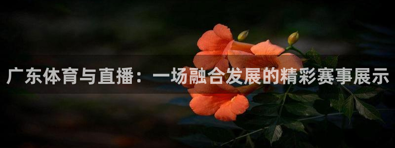 山猫乐球足球直播：广东体育与直播：一场融合发展的精彩赛事展示