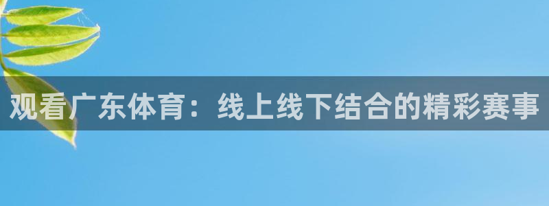 乐球直播观看：观看广东体育：线上线下结合的精彩赛事
