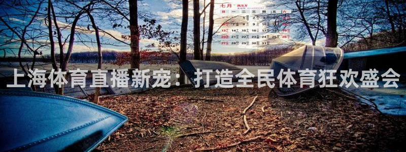 乐球直播tv乐球.comapp：上海体育直播新宠：打造全民体育狂欢盛会